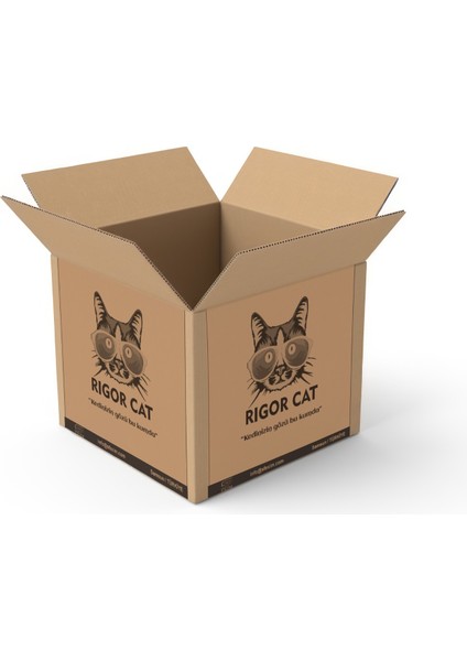 Aktif Karbonlu Topaklanan Kedi Kumu 2 x 10 L