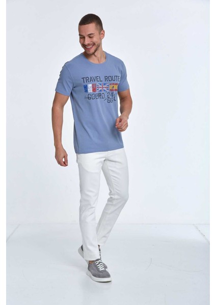 Lotus Baskılı Erkek Tişört Gri fiyatları