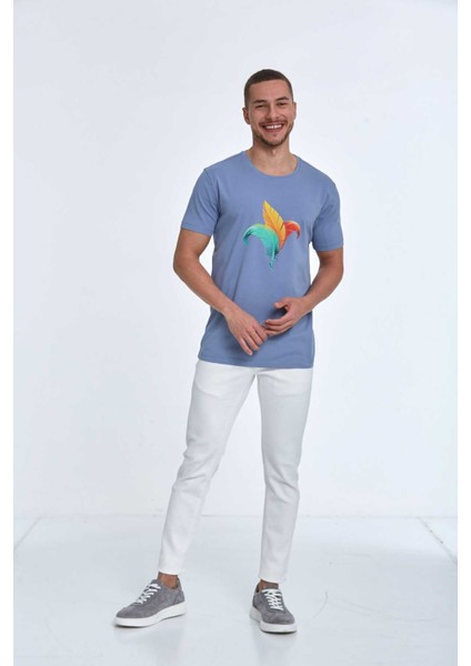 Theo Baskılı Erkek Tişört Gri modelleri