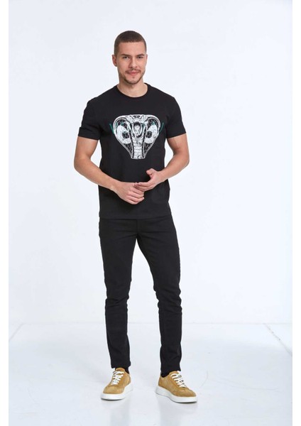 Aster Baskılı Erkek Tişört Siyah fiyatları