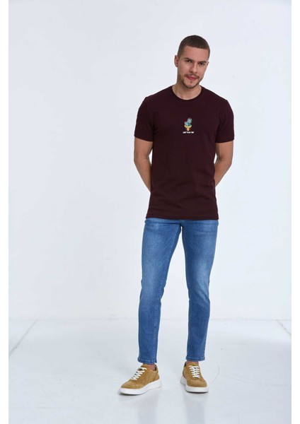 Chip Nakışlı Erkek Tişört Bordo fiyatları