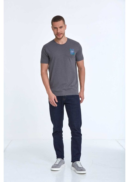 Elly Baskılı Erkek Tişört Antrasit modelleri