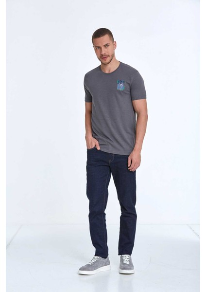 Elly Baskılı Erkek Tişört Antrasit fırsatları