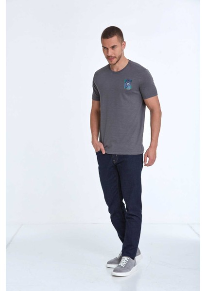 Elly Baskılı Erkek Tişört Antrasit indirimleri