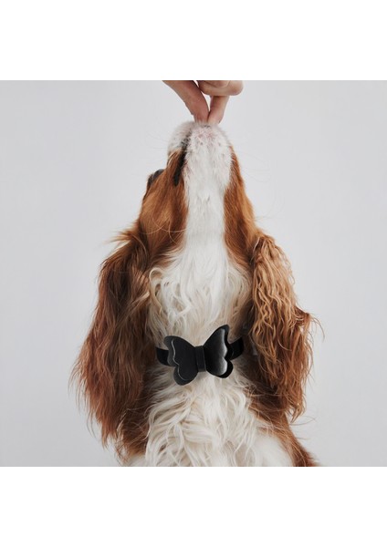 El İşçiliği Hakiki Deri Köpek Tasması