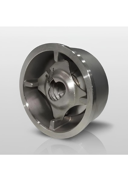 Çv-10/s1 DN20 PN40 (AISI304) Disco Çekvalf