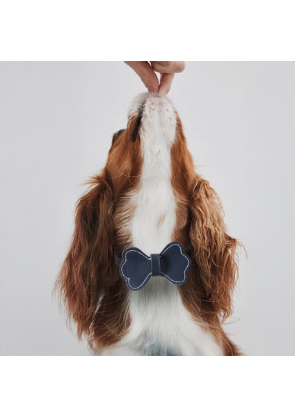 El İşçiliği Hakiki Deri Köpek Tasması