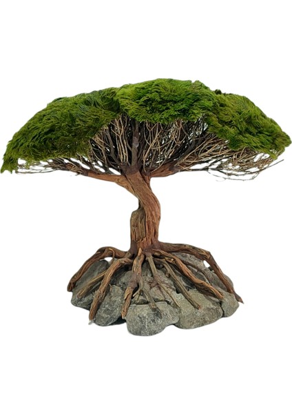 Special Ağaç Figürü Moss Sarılı