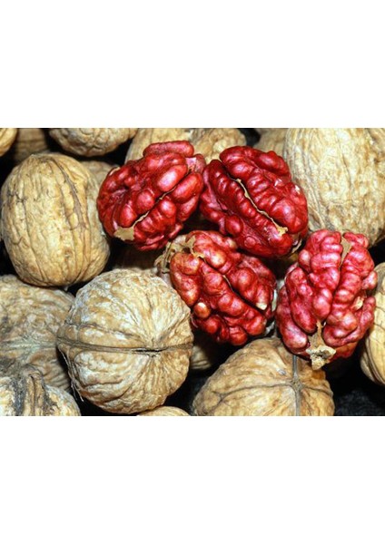 Livermore Kabuklu Kırmızı Kuru Ceviz 3kg (Kutu)