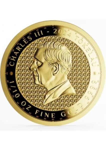 Agakulche Terra 2024 Altın Sikke Coin