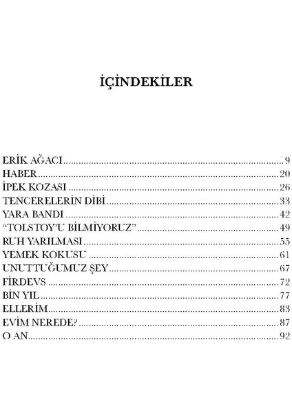 Ipek Kozası / Ayşe Ilker fiyatları