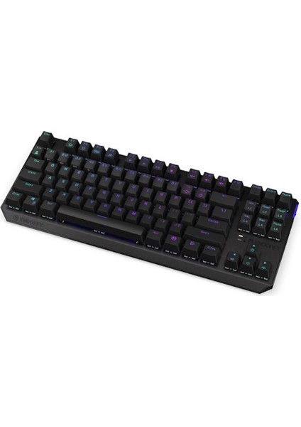 Thock Wireless TKL Kailh Red Switch RGB İngilizce Kablosuz Hotswap Mekanik Gaming Klavye (EY5A080)