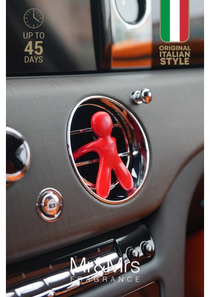 Cesare - Oto Araç Kokusu, Araba Klima Kokusu, Oto Kokusu - Pepper Mint fiyatları