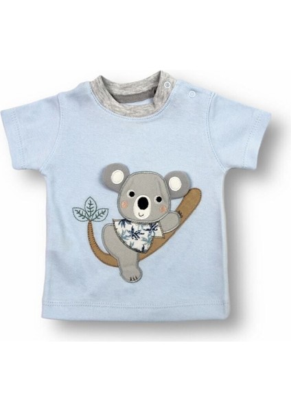 Yavru Koala 2'li Takım