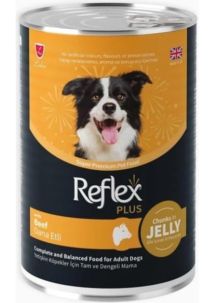 Plus Jöle Içinde Et Parçacıklı Dana Etli Yetişkin Köpek Maması 400 gr