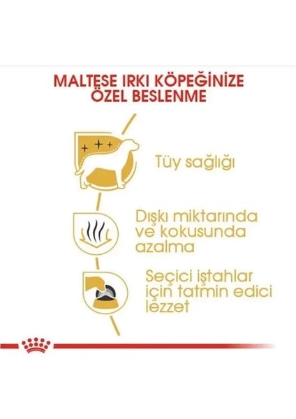 Maltese Terrier Adult Yetişkin Köpek Maması 1.5 kg modelleri