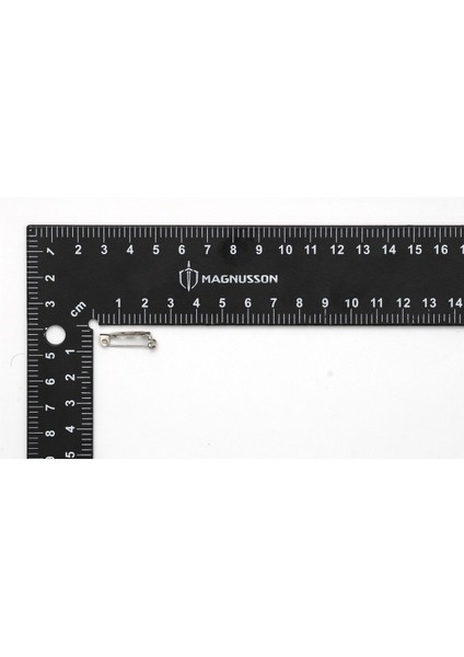 Rozet Iğnesi (50 Adet) fiyatları