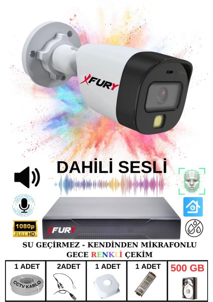 1 Li Sesli Gece Renkli Görüş Güvenlik Kamerası Su Geçirmez Güvenlik Kamerası Seti 500GB