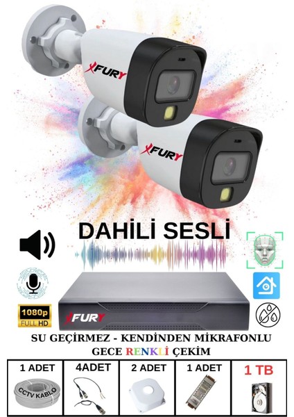 2 Li Sesli Gece Renkli Görüş Güvenlik Kamerası Su Geçirmez Güvenlik Kamerası Seti 1tb