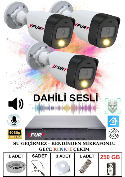 3 Lü Sesli Gece Renkli Görüş Güvenlik Kamerası Su Geçirmez Güvenlik Kamerası Seti 250GB