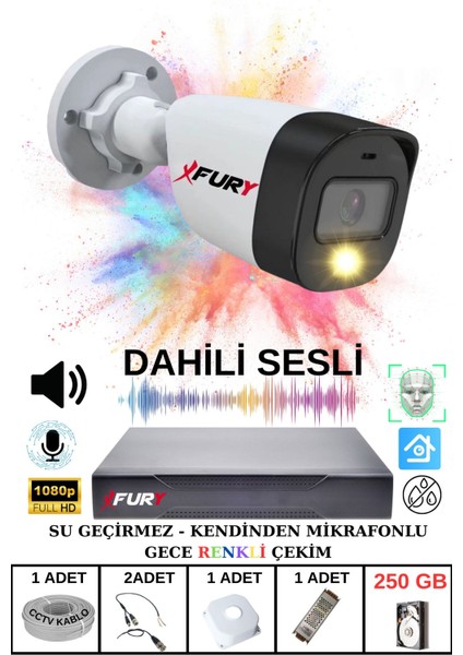 1 Li Sesli Gece Renkli Görüş Güvenlik Kamerası Su Geçirmez Güvenlik Kamerası Seti 250GB