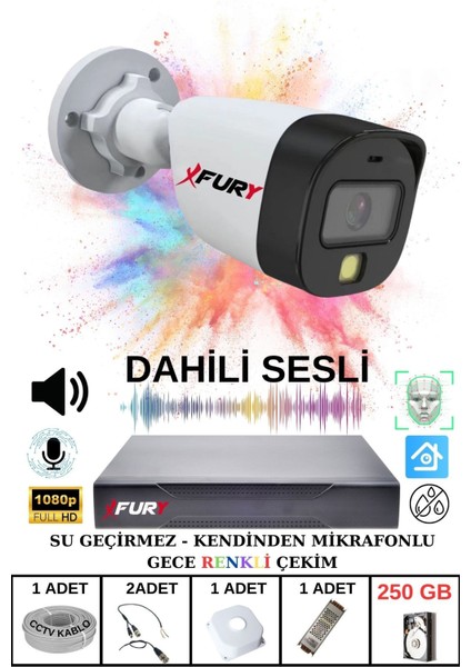 1 Li Sesli Gece Renkli Görüş Güvenlik Kamerası Su Geçirmez Güvenlik Kamerası Seti 250GB