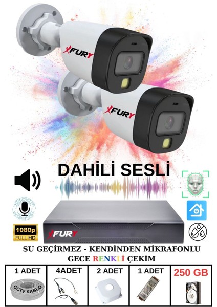 2 Li Sesli Gece Renkli Görüş Güvenlik Kamerası Su Geçirmez Güvenlik Kamerası Seti 250GB fiyatları