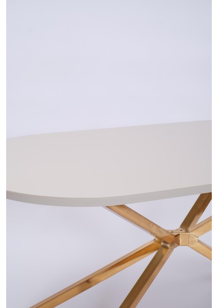 Bohem Metal Boyalı Mdf Lak Panel Yemek Masası 90X170 fiyatları