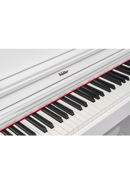PM80 88 Tuşlu Dijital Piyano ( Tabure ve Kulaklık Hediyeli )