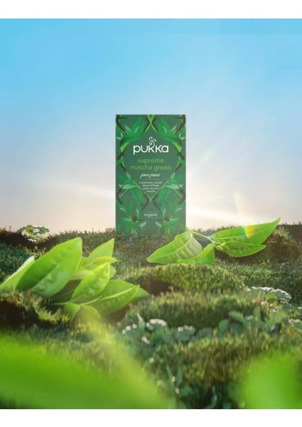 Supreme Matcha Green Oraganik Bitki Çayı modelleri