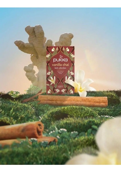 Vanilla Chai Organik Bitki Çayı fiyatları