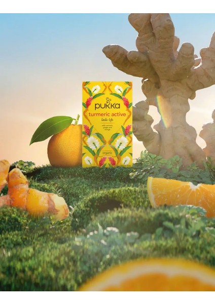 Turmeric Active Organik Bitki Çayı modelleri