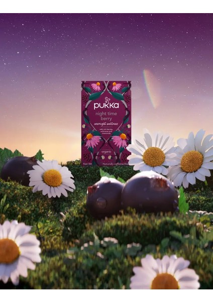 Night Time Berry Organik Meyve Çayı fiyatları