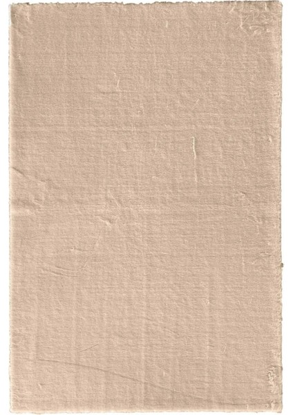 Home Comfort Konfor Tüylü Yumuşak Halı Sütlü 75 x 110 cm Silinebilir Toz Tutmaz Yıkanabilir 1 Adet
