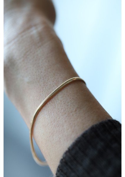 14 Ayar Altın Italyan Balıksırtı Bileklik 2,5 mm fiyatları