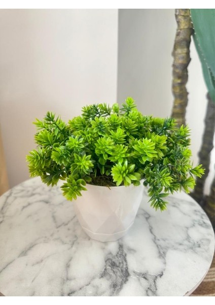 Yapay Çiçek Beyaz Saksıda Lotus Dekoratif Masa Çiçeği 15 cm