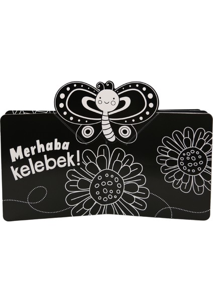 Mini Pop Up / Merhaba Dünya!