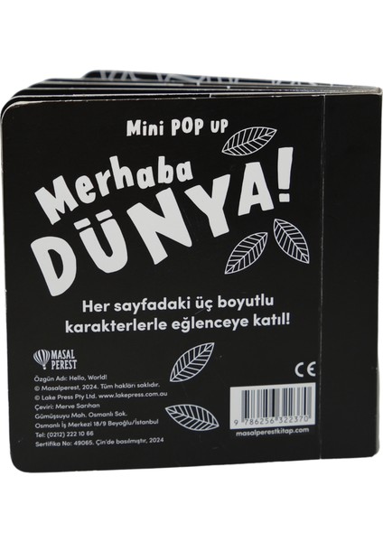 Mini Pop Up / Merhaba Dünya!