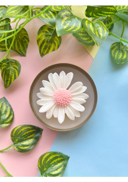 Metal Kutuda ( Pembe / Mint Yeşili / Ekru ) Papatya Mum I Kokulu I Dekoratif I Hediyelik I El Yapımı I Konsept I Vegan I Soyawax fiyatları