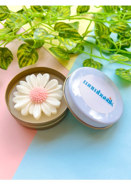 Metal Kutuda ( Pembe / Mint Yeşili / Ekru ) Papatya Mum I Kokulu I Dekoratif I Hediyelik I El Yapımı I Konsept I Vegan I Soyawax modelleri