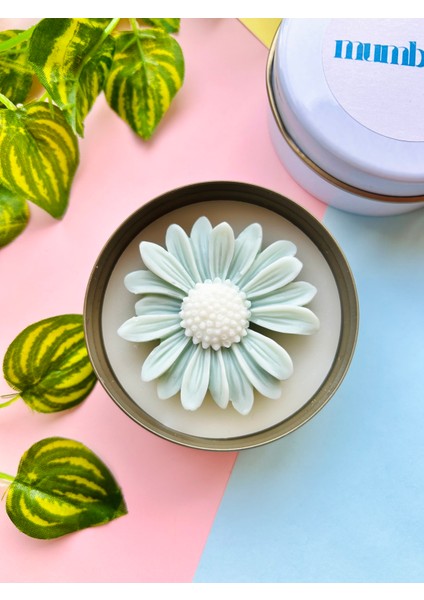 Metal Kutuda ( Pembe / Mint Yeşili / Ekru ) Papatya Mum I Kokulu I Dekoratif I Hediyelik I El Yapımı I Konsept I Vegan I Soyawax