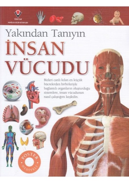 Insan Vücudu - Yakından Tanıyın