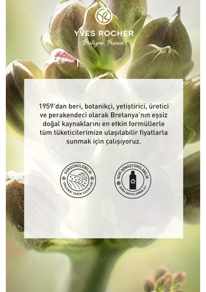 Leke Ve Yaşlanma Karşıtı Bitkisel Kök Hücre Bakımı Anti-age Global Radiance- Vitamin E - 30 Spf Krem