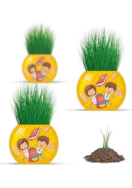 Okul Temalı Çim Adam 6'lı Set - Çocuklar Için Eğitici ve Eğlenceli Bitki Yetiştirme Kiti