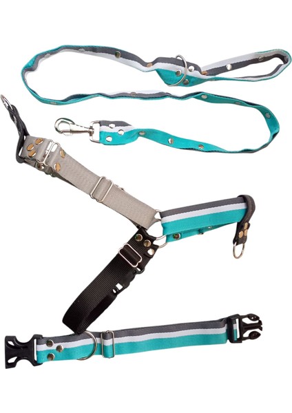 Köpek Tasması 3'lü Set Orta ve Büyük Irk Göğüs, Boyun, Gezdirme Kayışı Göğüs ÖLÇÜSÜ:60-100Cm BOYUN:40-60Cm Tb6-7