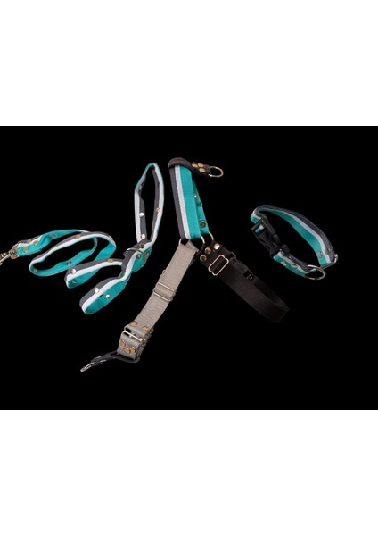 Köpek Tasması 3'lü Set Orta ve Büyük Irk Göğüs, Boyun, Gezdirme Kayışı Göğüs ÖLÇÜSÜ:60-100Cm BOYUN:40-60Cm Tb6-7