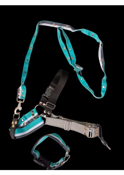 Köpek Tasması 3'lü Set Orta ve Büyük Irk Göğüs, Boyun, Gezdirme Kayışı Göğüs ÖLÇÜSÜ:60-100Cm BOYUN:40-60Cm Tb6-7