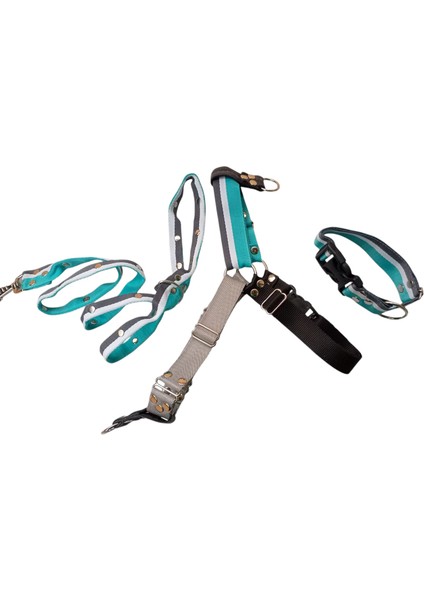 Köpek Tasması 3'lü Set Orta ve Büyük Irk Göğüs, Boyun, Gezdirme Kayışı Göğüs ÖLÇÜSÜ:60-100Cm BOYUN:40-60Cm Tb6-7