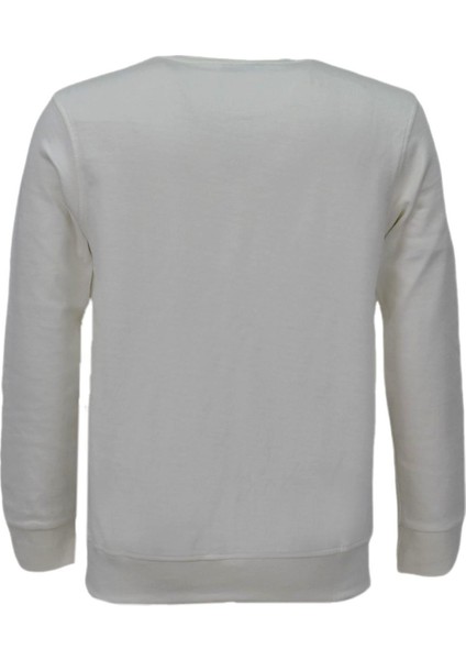 Erkek Spor Mevsimlik Sıfır Yaka Sweatshirt BGL-ST03934 fiyatları