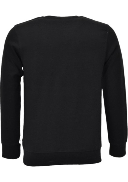 Erkek Spor Mevsimlik Sıfır Yaka Sweatshirt BGL-ST03934 fiyatları